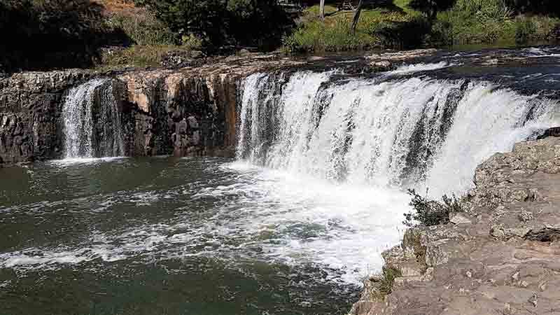 Join us for a fantastic half-day Walk and Paddle adventure around the spectacular Haruru Falls.